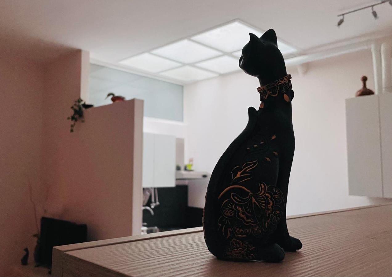 La Dimora Degli Avi Apartment มาเตรา ภายนอก รูปภาพ